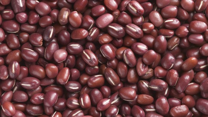 Red Bean | PT Total Harvest Cemerlang