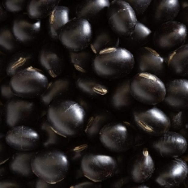Kacang Hitam Isi Hijau