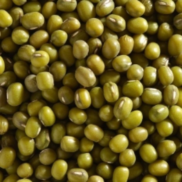 Kacang Hijau (Ijo)
