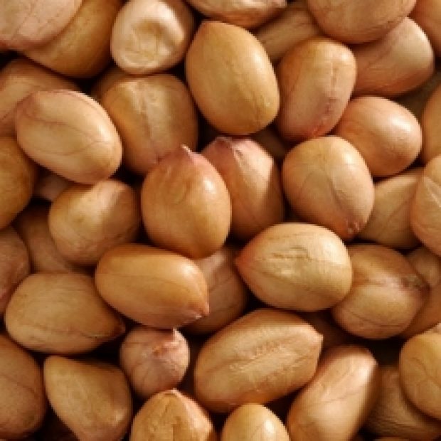 Kacang Tanah