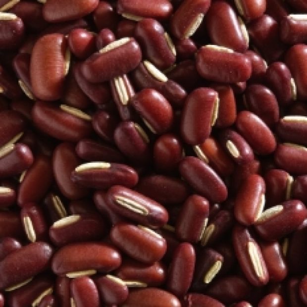 Kacang Merah Bamboo