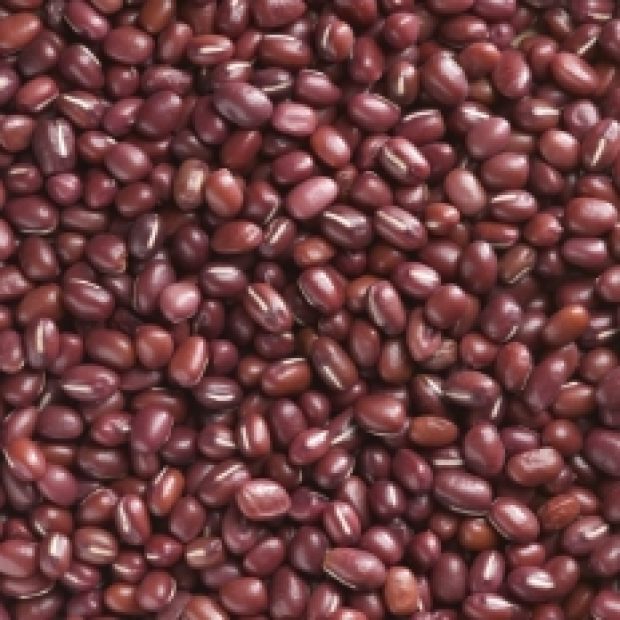 Kacang Merah